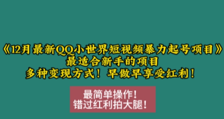 12月最新QQ小世界短視頻暴力起號項目,最適合新手的項目,多種變現方式