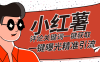 『高端精品』紅薯評論關鍵詞截取一鍵批量關注批量曝光腳本精準引流日引300+『詳細教程+掛機腳本』
