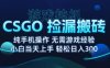 8月最新游戲搬磚，CSGO純掛G，不需要玩游戲，實現真掛G，月入1W+【揭秘】