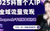 2025個人IP短視頻帶貨(進階版)全域流量變現，deepseek千川爆單進階課