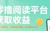 零擼閱讀平臺獲取收益，最新無門檻平臺，一部手機(jī)即可操作，單日收益50-3張【揭秘】