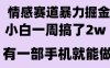 情感暴力掘金項目，新人操作一周掙了2W，長期穩定小白可做【揭秘】