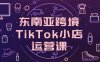 東南亞跨境TikTok小店運營課，掌握店鋪設(shè)置與流量轉(zhuǎn)化核心技巧
