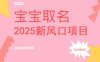 2025新風口項目寶寶取名，0成本高利潤，附保姆級教程，月入過萬不是夢