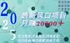 2025廣告賽道新風口-月賺2W＋玩法簡單，時間自由