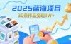 2025藍海項目30條作品 變現1w+ 有手就能操作適合小白做