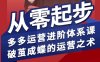 拼多多運營進階系統課，從零起步，多多運營進階體系課，破繭成蝶的運營之術(更新9月)