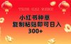 小紅書種草無腦操作復制粘貼即可日入300+