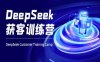 DeepSeek獲客訓練營-ai電商教程