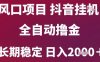風口項目，六月最新玩法抖音無人掛G，全自動擼金，長期穩定 日入2k+【揭秘】