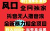 25年6月高爆抖音無人直播最新擼音浪掘金項目，解放雙手小白可做，無腦日入1k+，門檻低【揭秘】