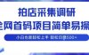 拍店采集調研，全網首碼項目，簡單易操作， 小白也能輕松上手，多賬號操作，輕松日入5張【揭秘】
