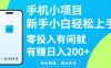 手機小項目新手小白輕松上手零投入有閑就有賺日入200+