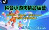 【抖音小游戲項(xiàng)目第二期】操作簡單，長期穩(wěn)定，日盈利500+，小白和工作…