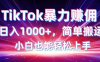 TikTok搬運(yùn)暴力賺傭，日入1000+，簡(jiǎn)單搬運(yùn)，小白也能輕松上手