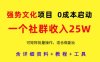 強勢文化項目，一個社群收入25個W，0成本啟動，可矩陣批量操作，原創(chuàng)詳細(xì)實操教程