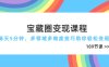 寶藏圈變現課程，每天5分鐘，多領域多維度技巧助你輕松變現(189節