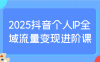 2025抖音個(gè)人IP全域流量變現(xiàn)進(jìn)階課：選爆品、抖音付費(fèi)投流、千川投流實(shí)操及優(yōu)化等