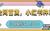 小紅書種草，手機項目，日入3張，復制黏貼即可，可矩陣操作，動手不動腦【揭秘】