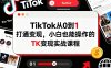 TikTok從0到1打通變現(xiàn)，小白也能操作的TK變現(xiàn)實戰(zhàn)課程