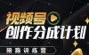 視頻號(hào)創(chuàng)作分成計(jì)劃陪跑訓(xùn)練營，手把手教會(huì)你如何制作視頻，細(xì)水長流型項(xiàng)目