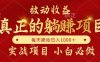 全網首發設計項目，真正實現躺賺，并且每月收益逐月增加，自己做老板