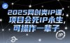 2025網創類IP課，項目會死IP永生，可操作一輩子