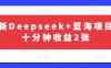 最新Deepseek+藍(lán)海項目，十分鐘收益2張