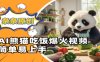 Ai熊貓吃飯爆火視頻，條條原創，簡單易上手