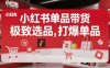 小紅書單品帶貨，極致選品，打爆單品(更新)