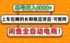 閑魚全自動電商，月入6000+，上車包賺的長期穩定項目【可矩陣放大】