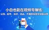 小白也能在視頻號賺錢：認知、起號、話術、選品、開播到投放全鏈路運營