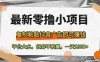 最新零擼小項目，復(fù)制粘貼抖音廣告即可賺錢，平臺大水，任務(wù)不限量，一…