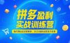 拼多多盈利實戰(zhàn)訓練營，強付費玩法深度解析，2025運營技巧合集-更新6月