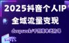 2025抖音個人IP全域流量變現進階課，deepseek千川爆單進階課
