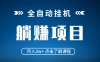 全自動掛機項目 月入3w+ 真正躺平項目 不吃電腦配置 當天見收益