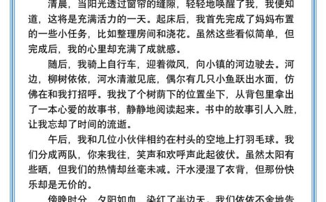 小學(xué)生必寫『充實(shí)快樂的暑假』優(yōu)秀范文-小升初語文