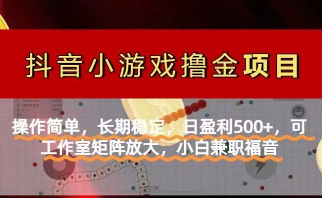 【抖音小游戲發(fā)行人計劃項目】操作簡單，長期穩(wěn)定，日盈利500+，可工作…